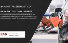 Combustibles II - Versión Abril26 (1)